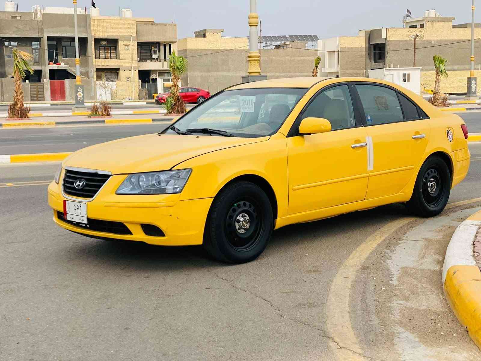 سوناته • ٢٠١٠ • وارد امريكي