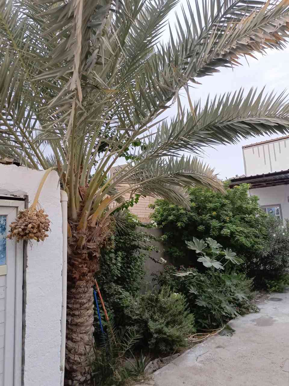 النجف الاشرف • ٢٠٠م • طابقين