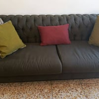 قنفتين • كراسي ٢ • تخم