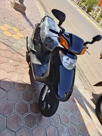 سبيسي • ياباني • ستوته