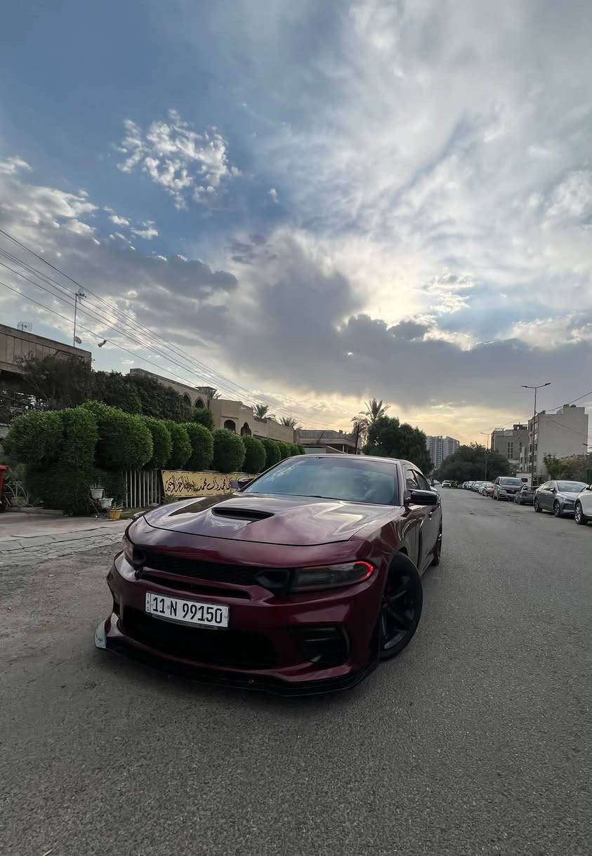SXT بلس • ٢٠١٩ • فور ويل ملغي
