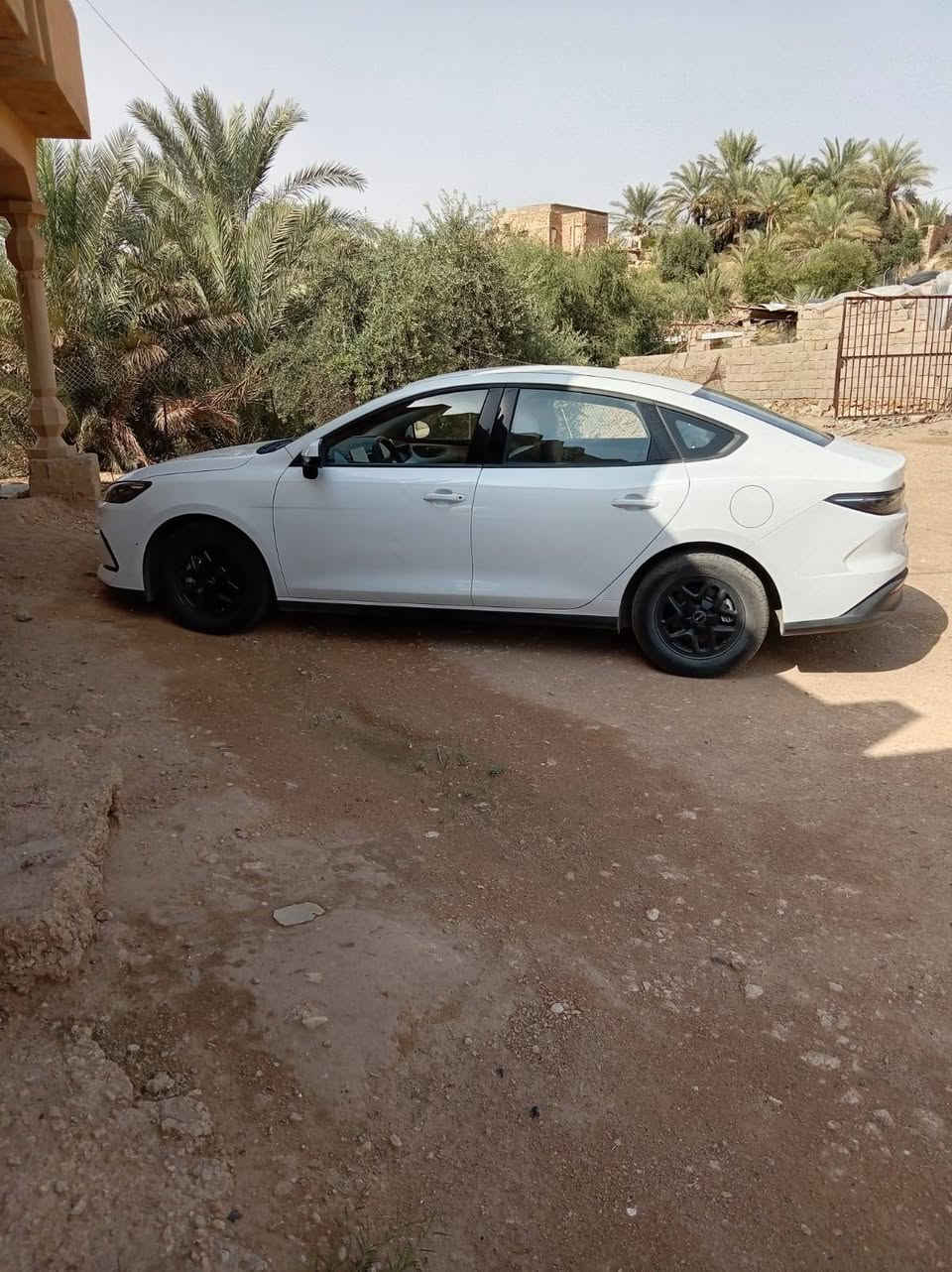 Seal 05 • ٢٠٢٥ • قابلة للشحن