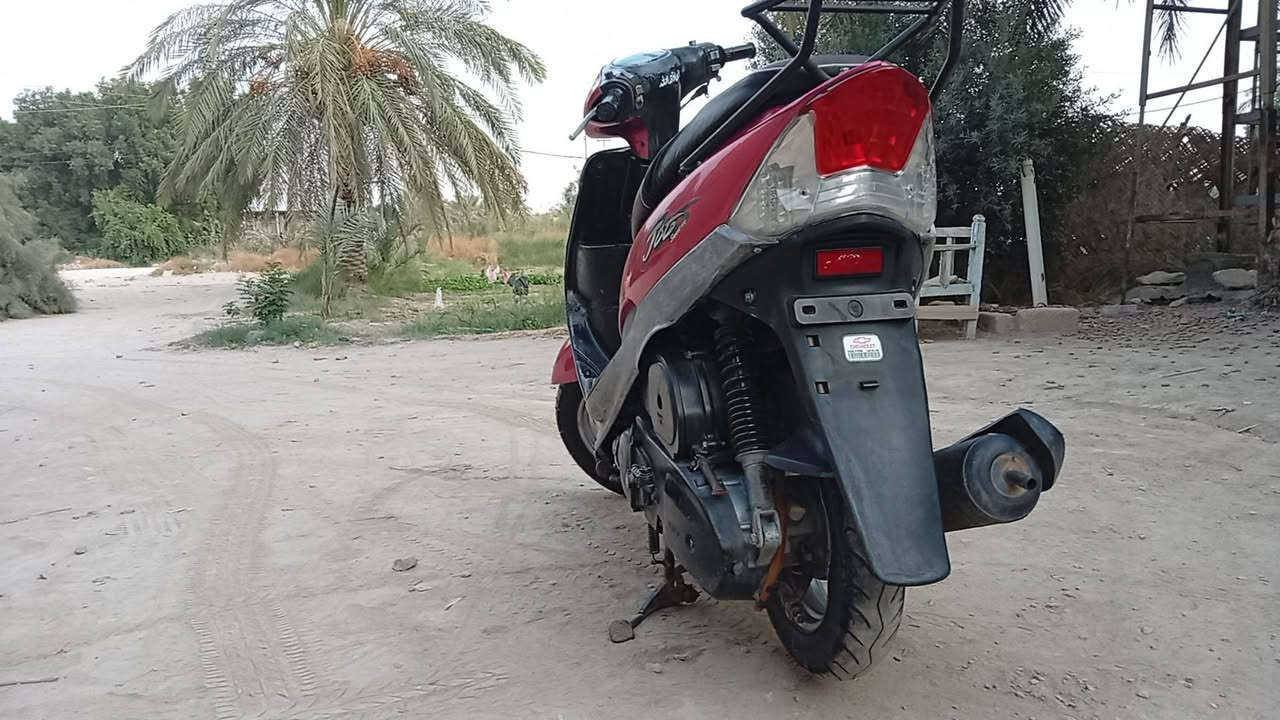 ماكس منغولي • نظيفه • مامفتوحه