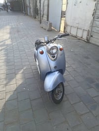 فينو • كلاسك • فحل