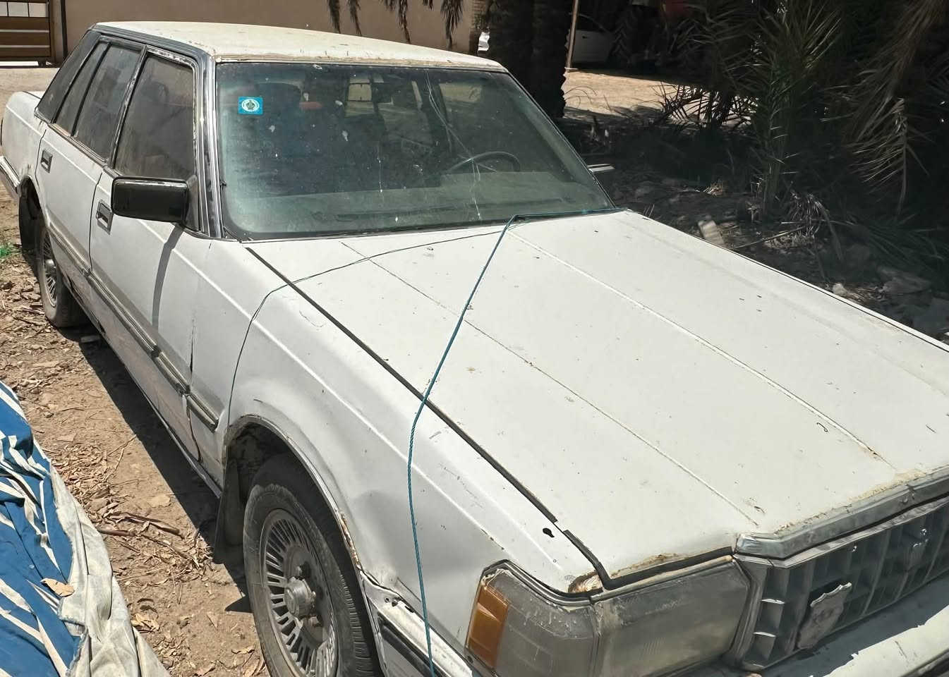 للبيع سوبر٨٥ رقم نبار إنكليزي لسنة ٢٠٣١ للاستفسار الاتصال على الرقم ‭***********‬
