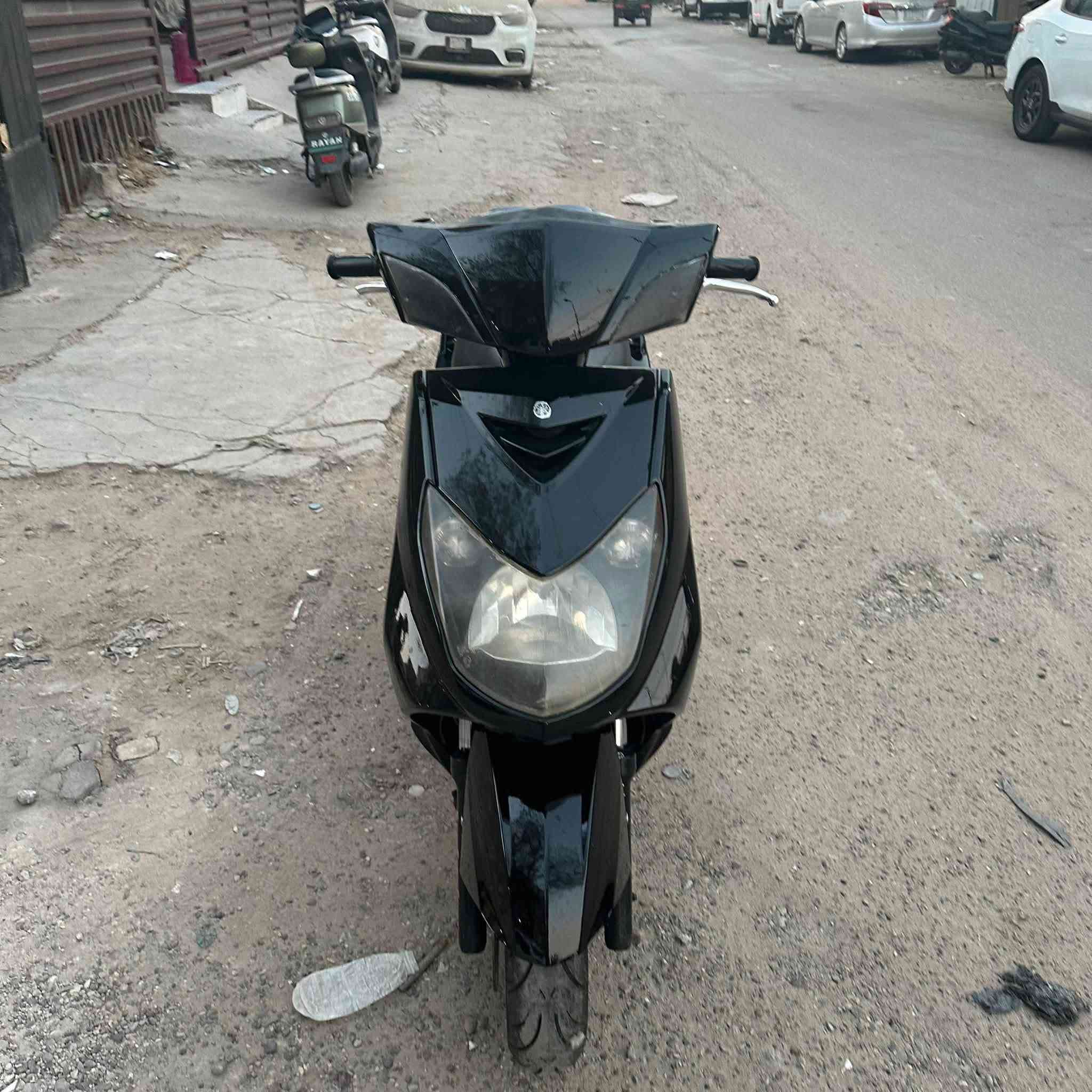 سكنس فحل للبيع كابريتر
للتواصل ‭***********‬ واتساب فقط مكاني بغداد
