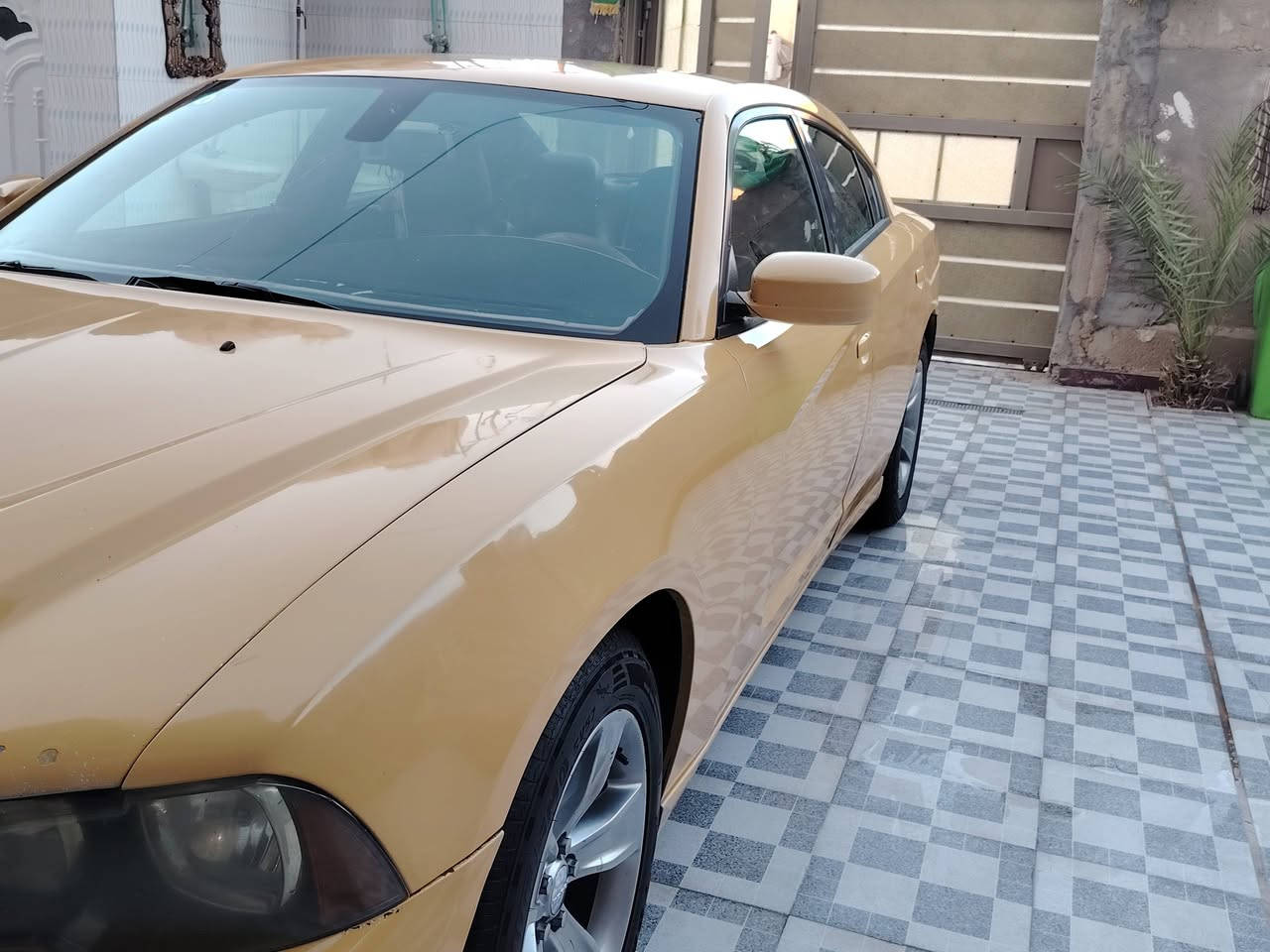 سلام عليكم شاجر للبيع موديل 14 جاهزه رقم نكليزي للستفسار تصل ***********
