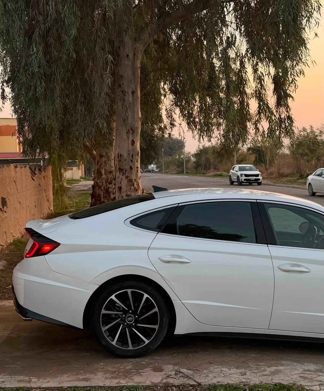 HYUNDAI SONATA SEL+ 2020
بيع او مراوس بجيب ١٨/١٩

‎• عدادات دجتل 
‎• شاشة + تحكمات شفتات ستيرن
‎• كروز سرعة ، قيادة اليه ، تحديد مسار + خروج مسار
‎• كشنات كهرباء + جلد + تدفئة كشنات 
‎• ويل 18 + تايرات جدد
‎• لايت امامي + بك خلفي فول لد
‎• بجم كبس + بدون ايرباك + بدون صبغ 
• ماشية 61 Mi
• السيارة عليها ادامة كاملة من بلكات ونوزلات و حدادية كله شرط 
‎•مرفقة صور الضرر + السونار 
• السعر 161 وبيها مجال بسيط
***********
