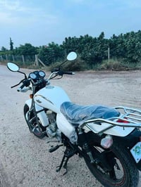 ساو ناصي • موديل ٢٢ • مكفول