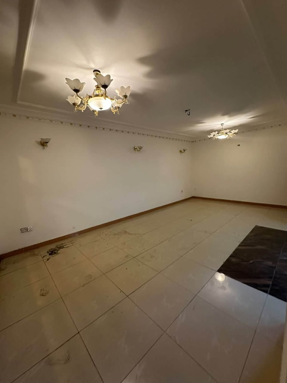 🏡 للإيجار في السيدية 🏡
✨ عقار سكني بمساحة 320م²

✨ نظيف جداً وموقع مميز

يتكون العقار من:

🔹 5 غرف نوم

🔹 مطبخ

🔹 صالة وهول

🔹 3 خدمات صحية

🔹 كراج

🔹 حديقة 🌿

للاسـتفسـار الاتـصال علـى الارقـام التـاليه  او زيـاره مكـتب عبدالله الرفيـعي السيـديه_شارع الضـباط_ مقابل مجـمع لحـوم جويـلي 

#مكتب-عبدالله-الرفيعي

***********

***********

***********

━━━━━━━━━━━━━━━

#بيت #عقارات #منزل #بيع #وساطة_عقارية

#شركة #سيدية #بغداد #عراق

#عقارات_السيدية

#عقارات_الكرخ #ايجار_تجاري

#بنايات_سكنية

#عقارات_القادسية #عقارات_اليرموك #عقارات_المنصور

#عقارات_الحارثية #عقارات_الكاظمية #عقارات_الاعظمية

#عقارات_العطيفية #عقارات_حي_الجامعة
