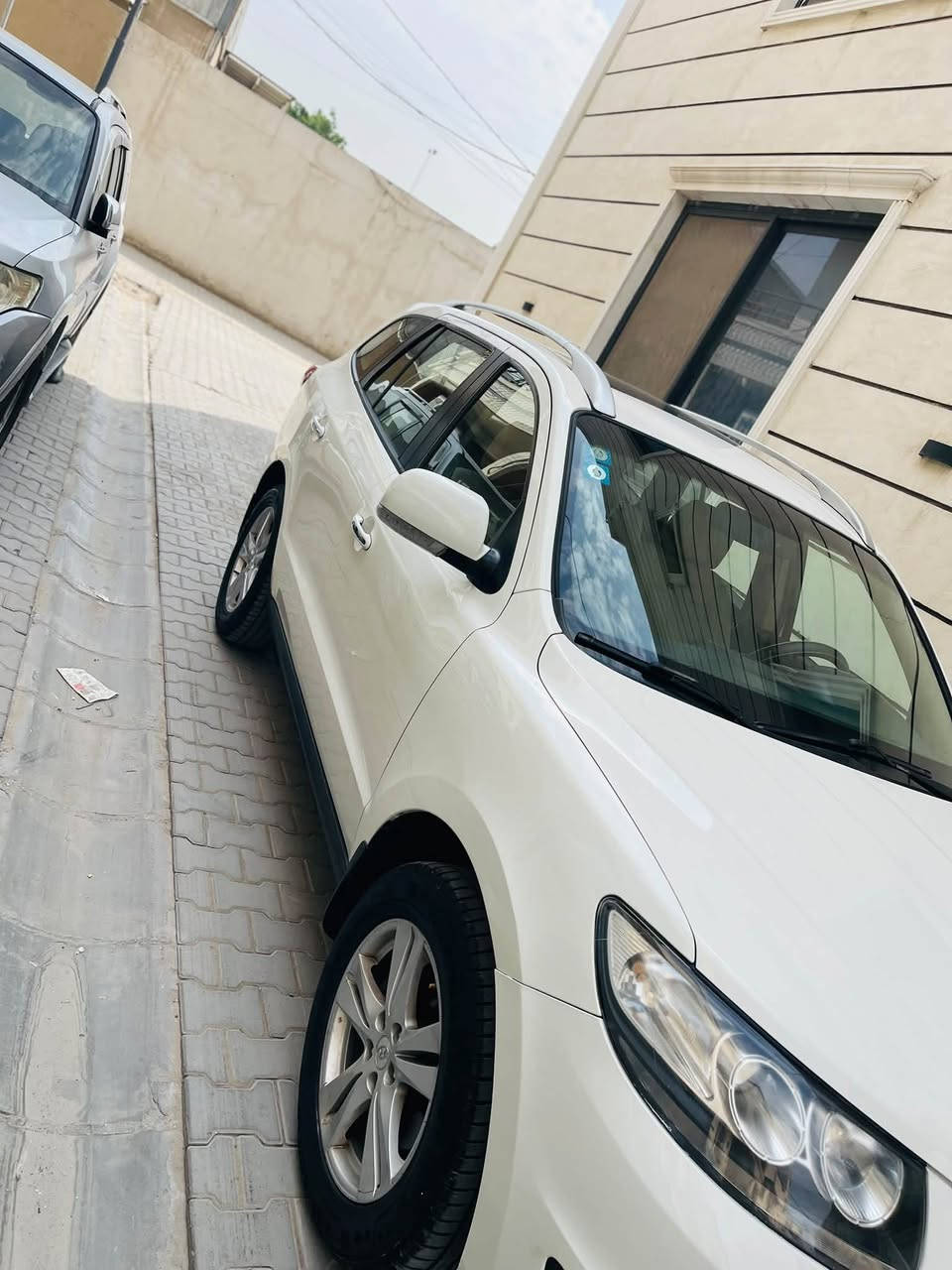 سنتافيا • فول مواصفات • رقم بغداد