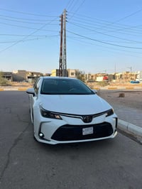 كورلا خليجي • وكالة الفطيم • ٢٠٢٤