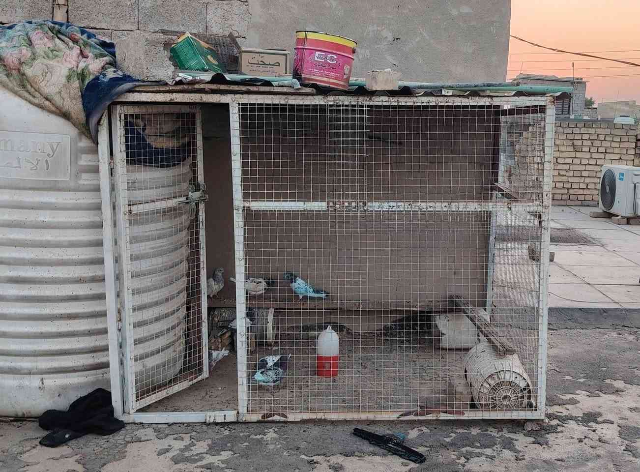 قفص • متر ونص • للبيع