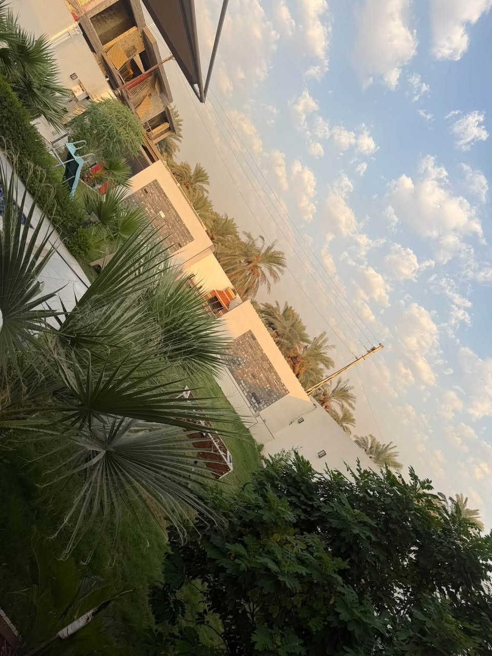 متوفر اليوم مسائي بعيثه  ***********
