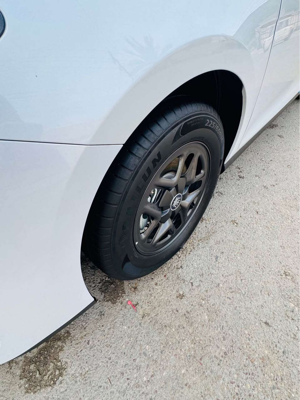 داخل زيتوني • جلد • ٢٠٢٥