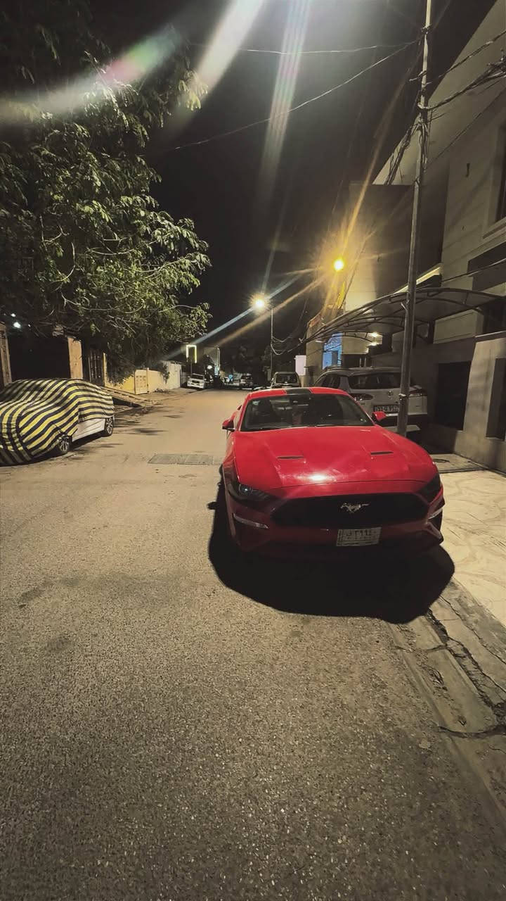 ايكو ٢٠١٩ بريفورمس بكج تجي ديجتال واكتيف اكزوز واكسل جيتي وشفتات وفجوج برمبو والخ من مواصفات كاملة
ماشيه ٥٣ الف ميل 
كلير عام من امريكا 
مراوس بشي اقتصادي او بيع 
عليها غرامات مليون و ٦٠٠ 
سعرها ١١٥ وغرامات ع مشتري 
ماضن اكو هيج سعر بهاي مواصفات 
*********** واتساب او دايركت ماسنجر
مكاني بغداد زيونة

نص مكتوب في الصور:
- MONDAY
- نايت ❤️
- Ford Mustang Ecoboost 2019 Red 2.3L vin: 1FA6P8TH8K5125765