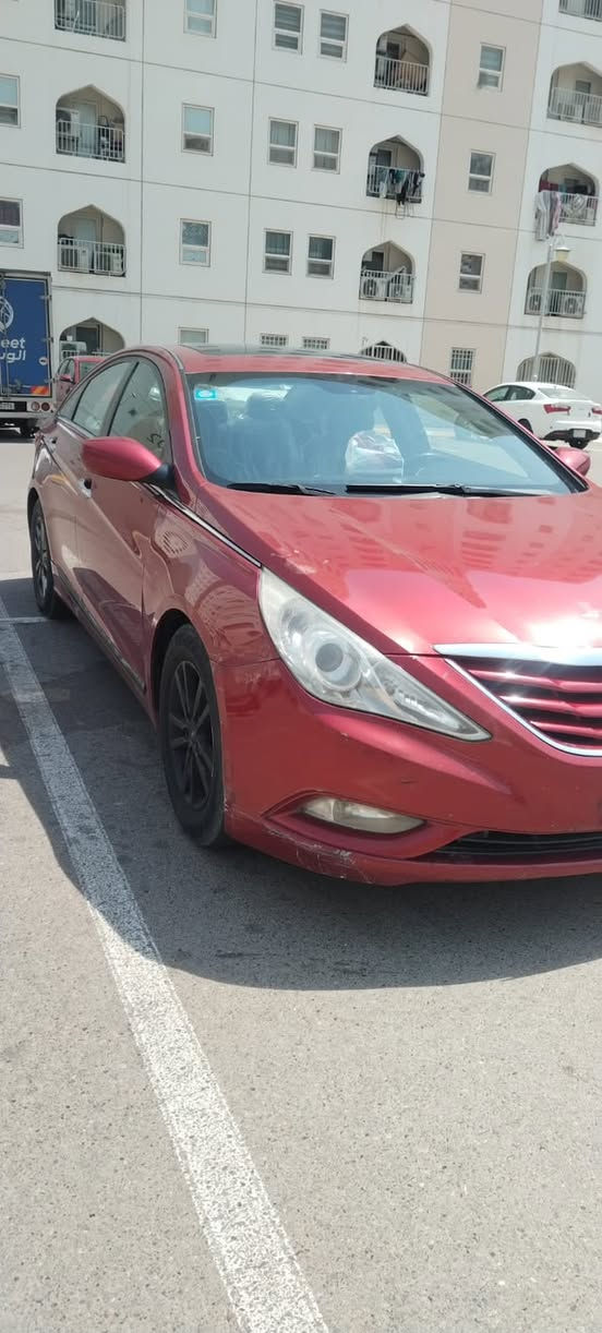 فول • ٢٠١٣ • وارد أمريكي