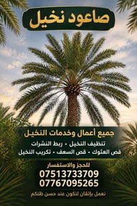صاعود نخيل • تنظيف نخيل • قص السعف
