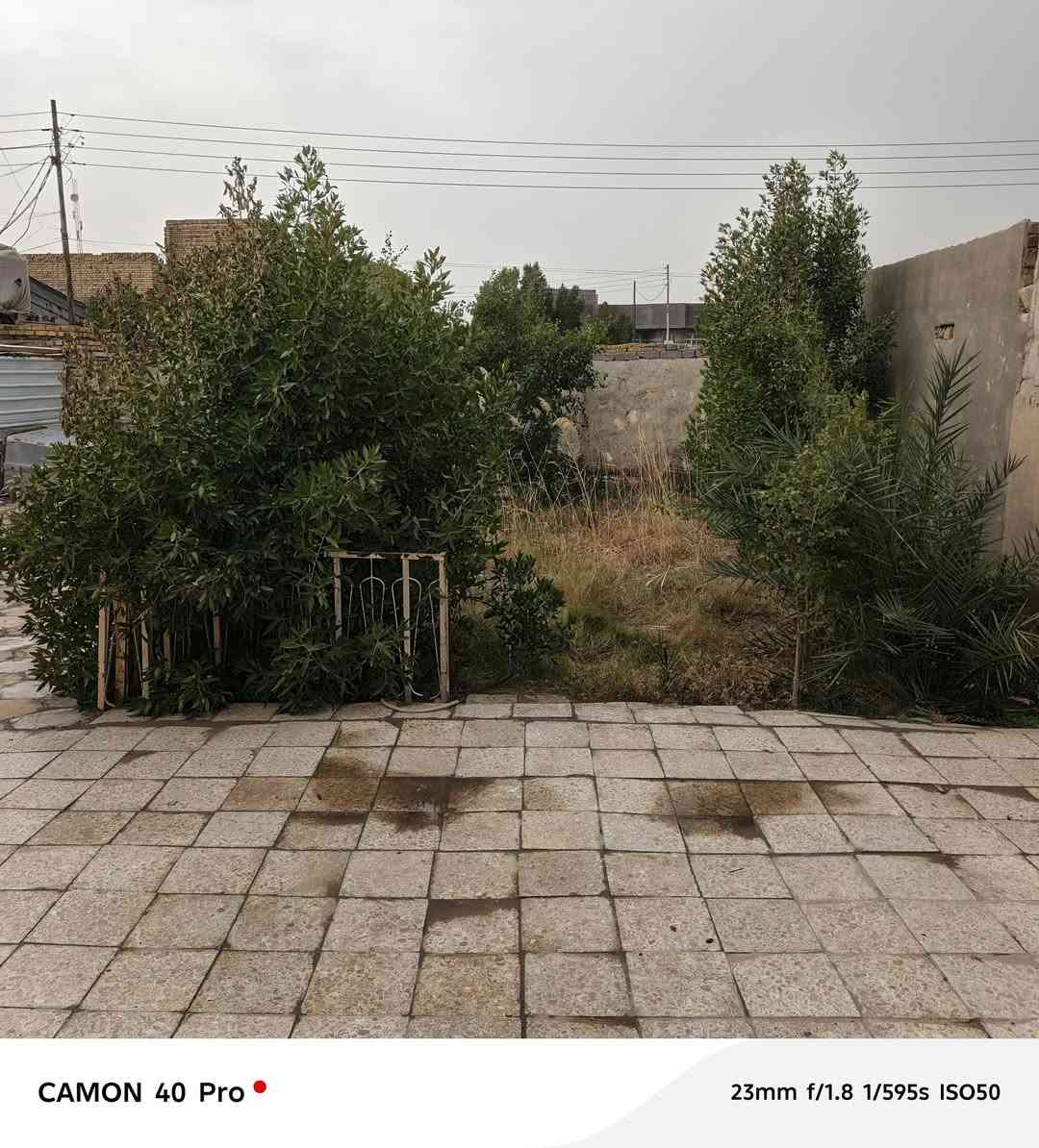 بيت زراعي • ٤٠٠م • سوق الشيوخ