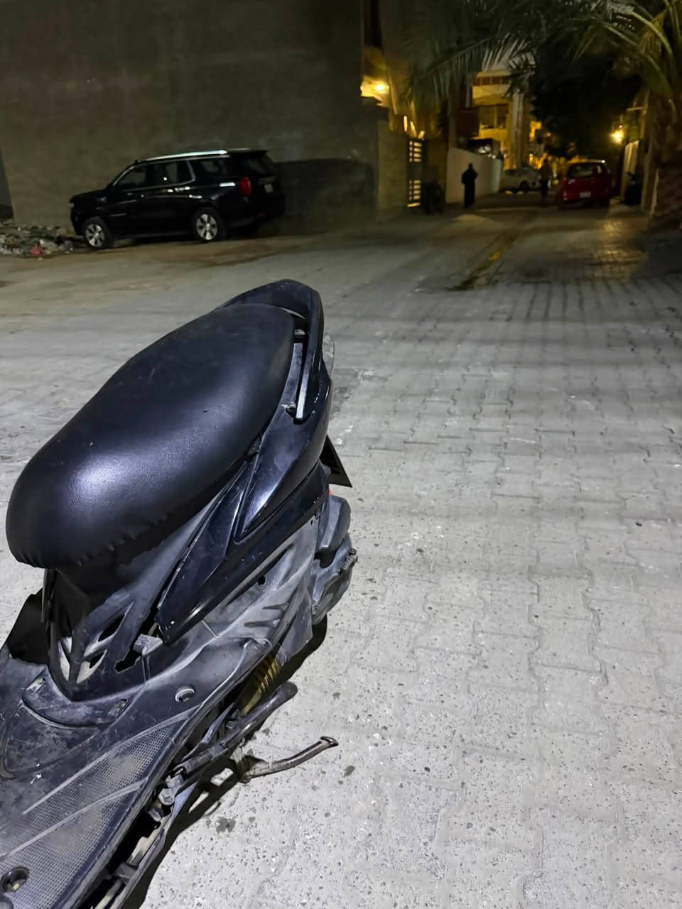 سكنس فحل • نضيفه • مراوس