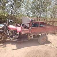 ستوته • ٨ سنويه