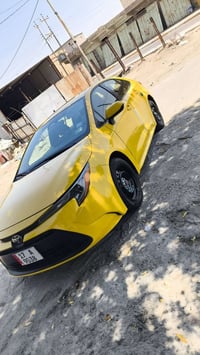 كورلا امريكي • ٢٠٢٣ • كفاله عامه