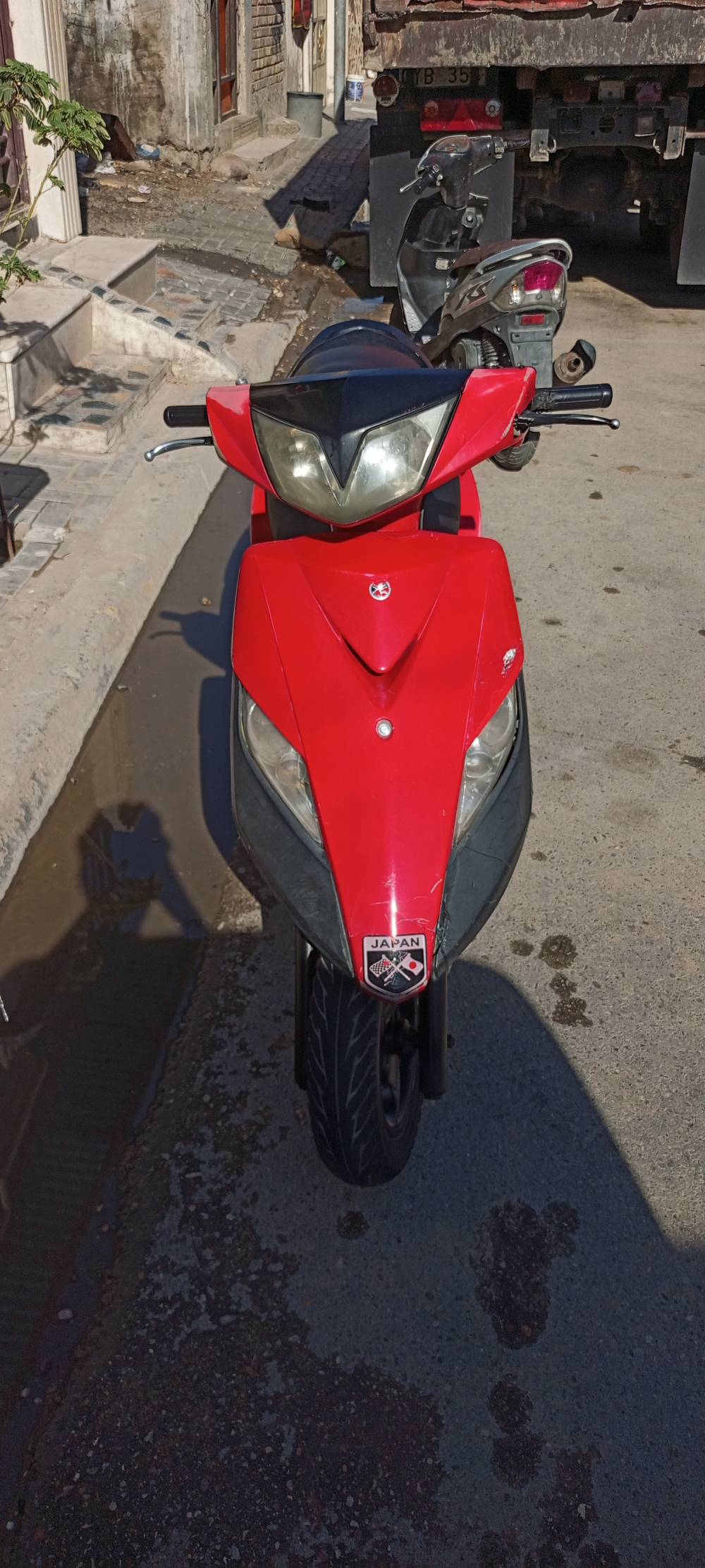 جيتي ار • ثعلب • بغداد