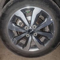 مراوس • إب ويل • عادي رقمي
