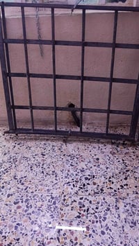 سوناته • توسان • قطع غيار