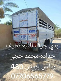 شاحنة • رياض ببريص