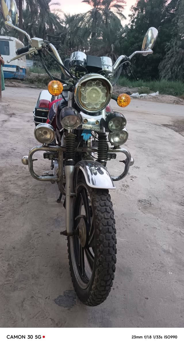 جونده • سنويه • ٢٠٠٧