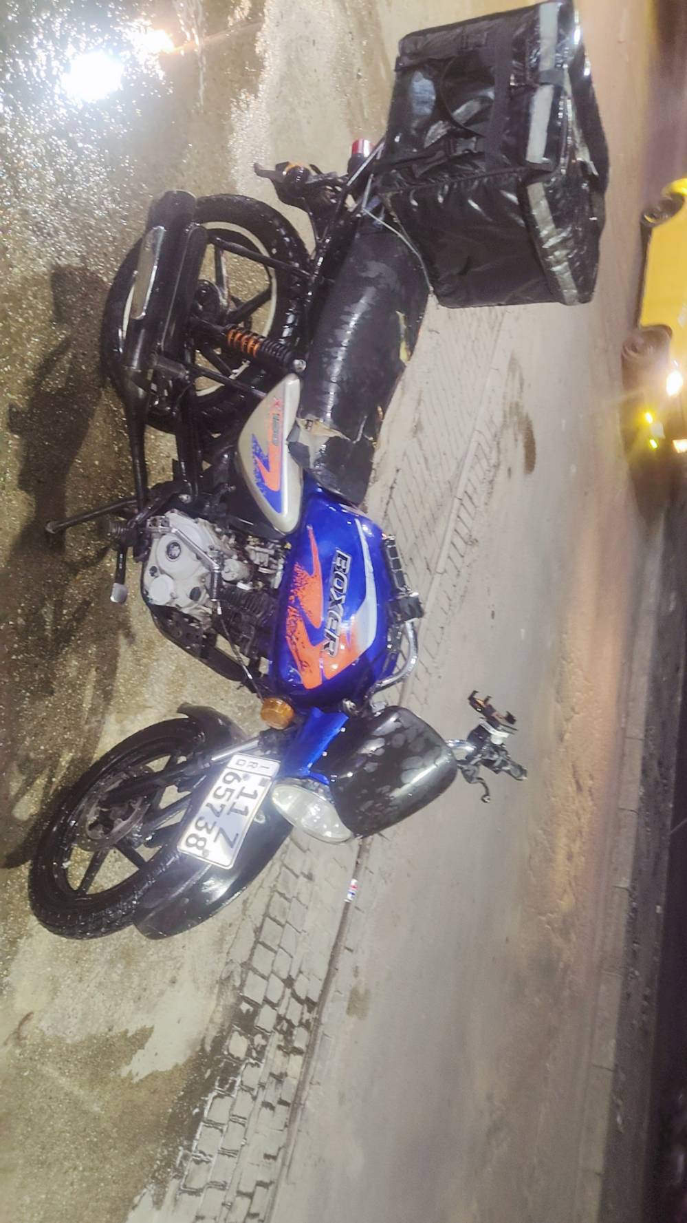 بوكسر • جبلي • مرقمه