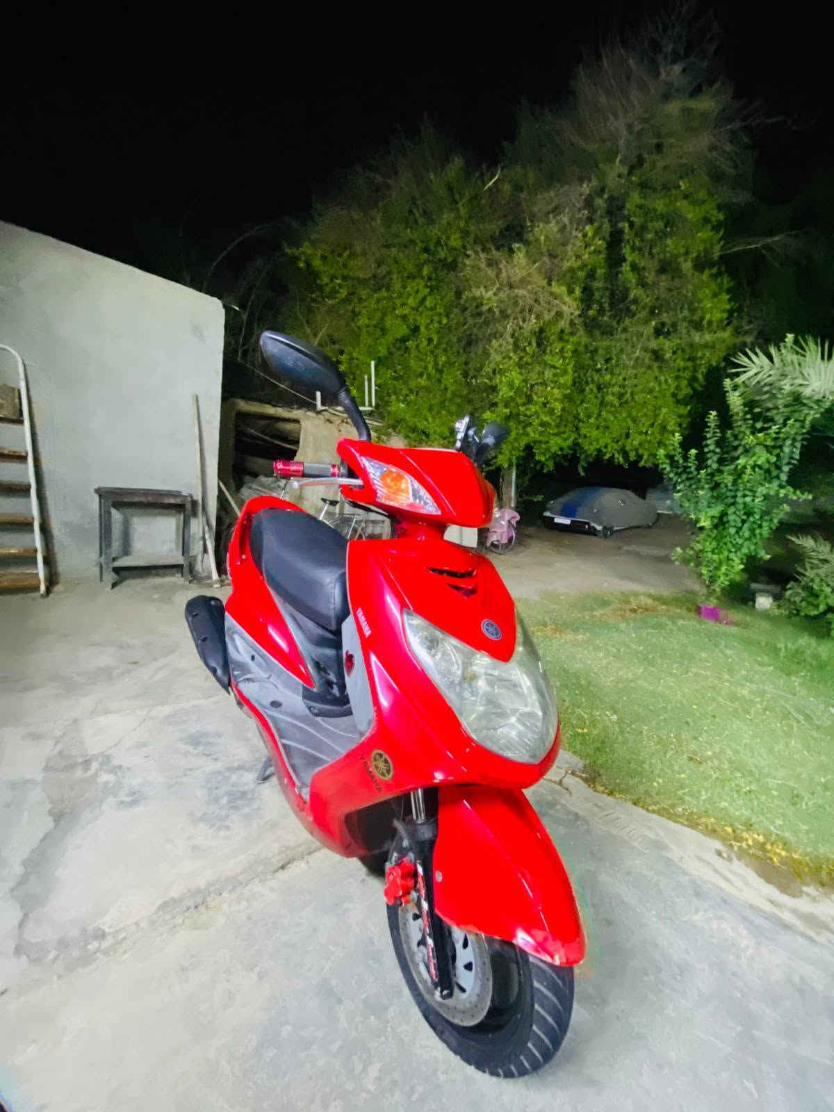 سكنس فحل • زنون • ياباني