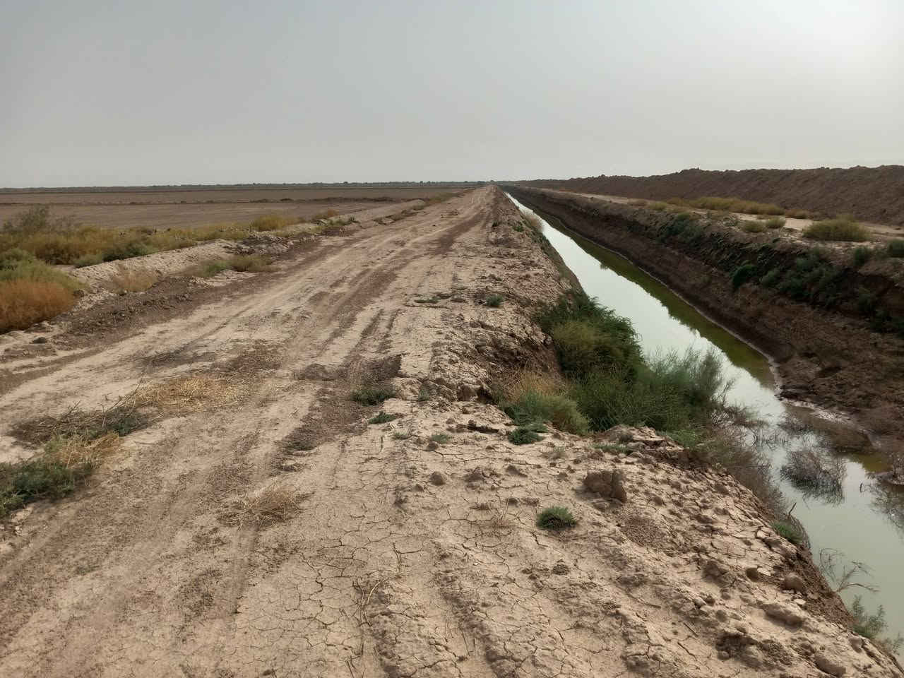 أرض زراعية • ١٠٠٠ دونم • الكوت طريق بدره