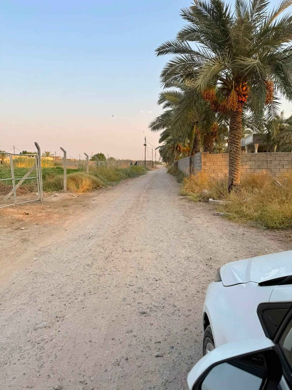 600 متر واجهه 21  ركن تباع كلها او نص 
سند 25 
هوررجب البودخيل 

***********
