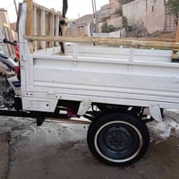 ١٧ • بدي ١٤ • أوراق