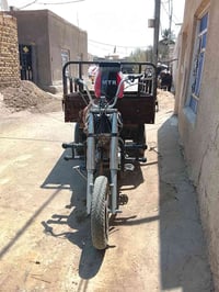 ستوته • اوراق ضايعة • مكفولة