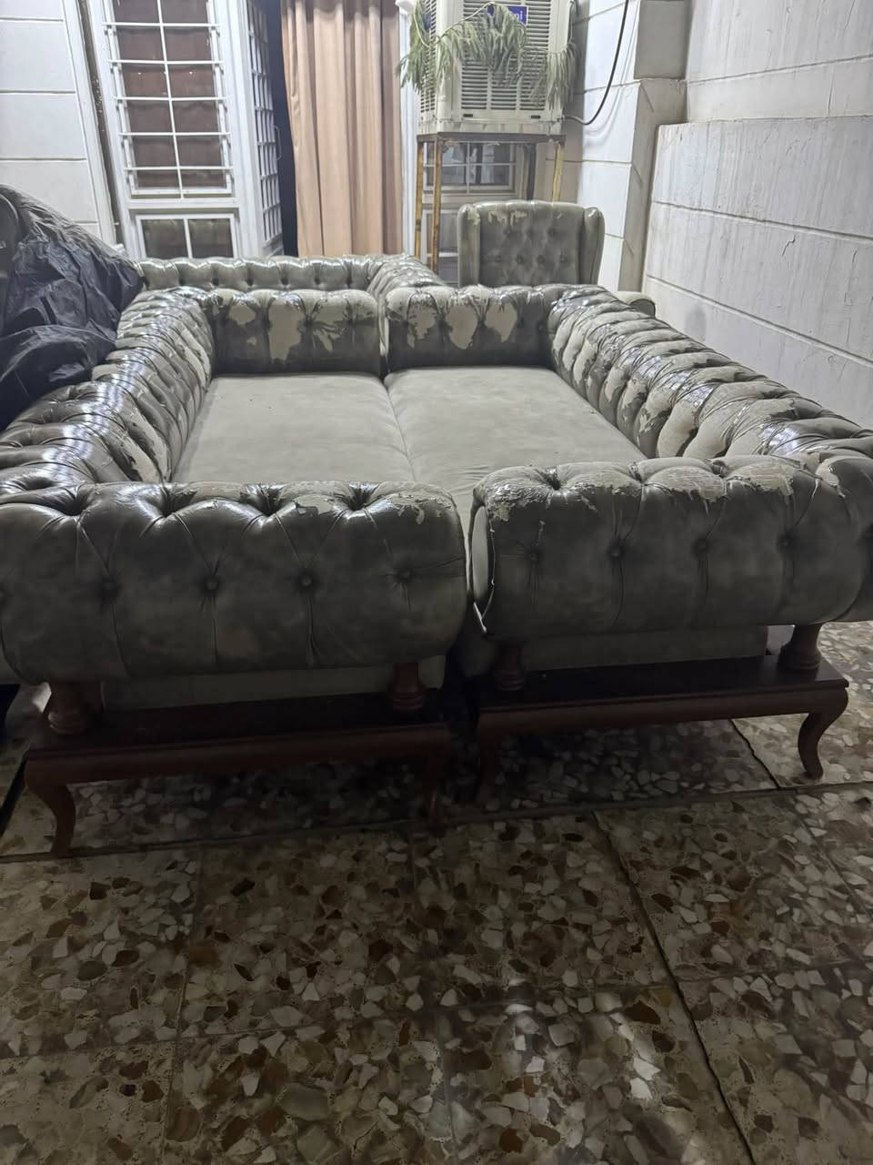 تخم البلديات • كنب