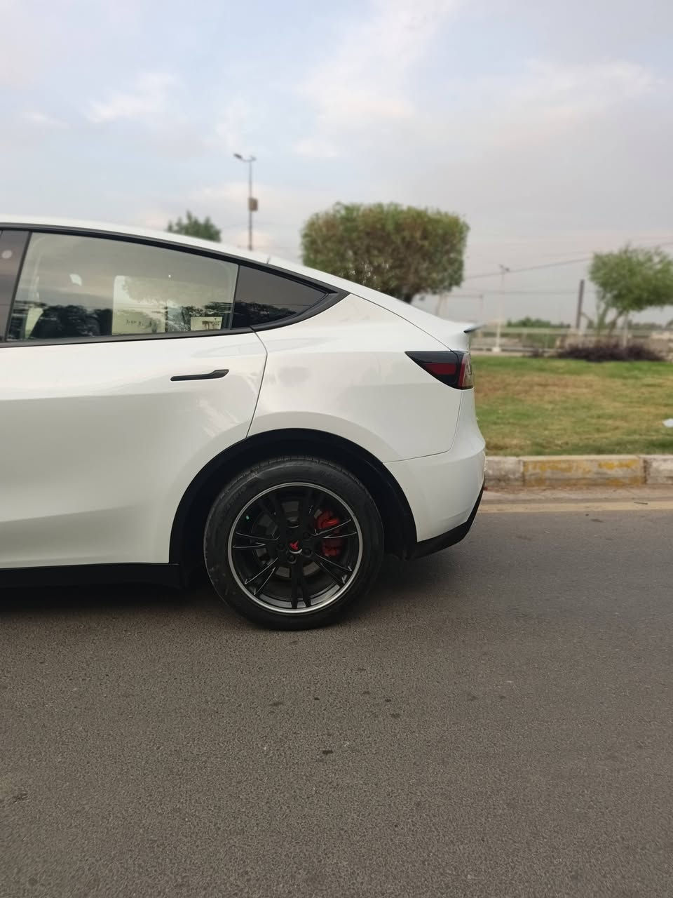 تسلا Y • ٢٠٢٣ • دبل ماطور