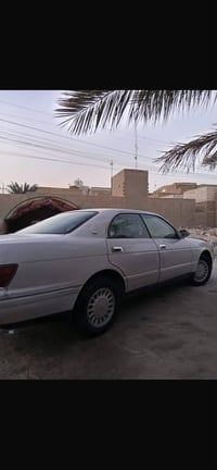 بطه منفصل • ابيض لؤلؤي • رقم ذي قار