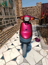 بطة • نضيفة • ناعمة