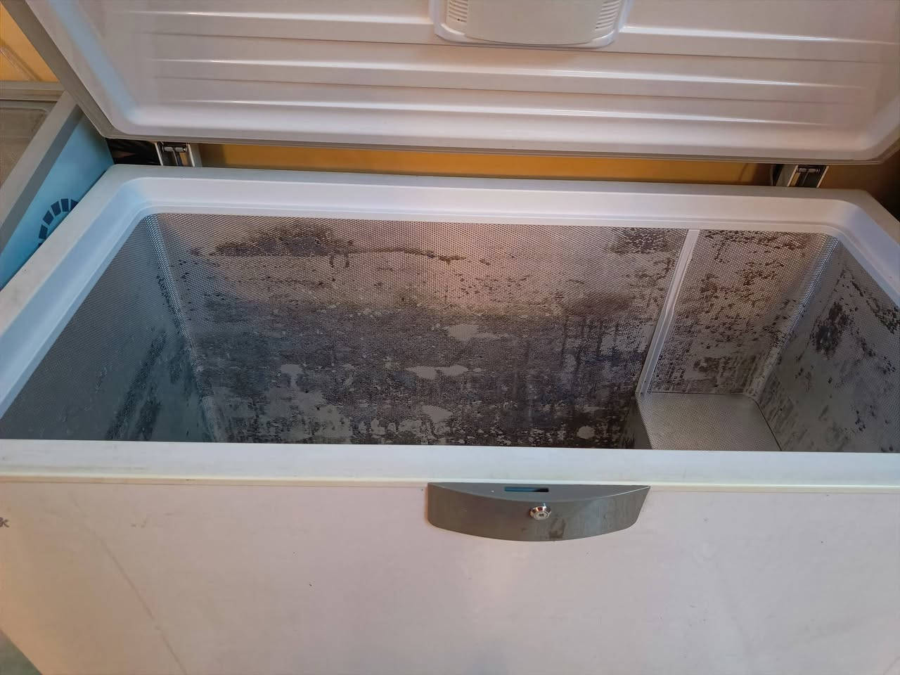 ثلاثتهم ب 600 الف 
يلي يريد يشتري يتواصل مع هذا الرقم ***********
