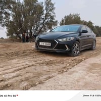 النترا • ٢٠١٧ • وارد امريكي