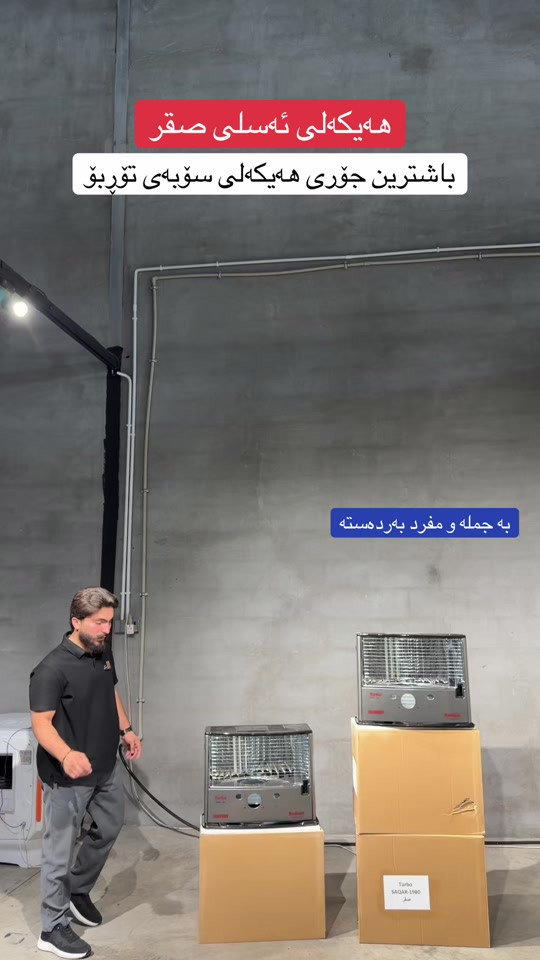 هيكل صقر • ياباني • جملة ومفرد