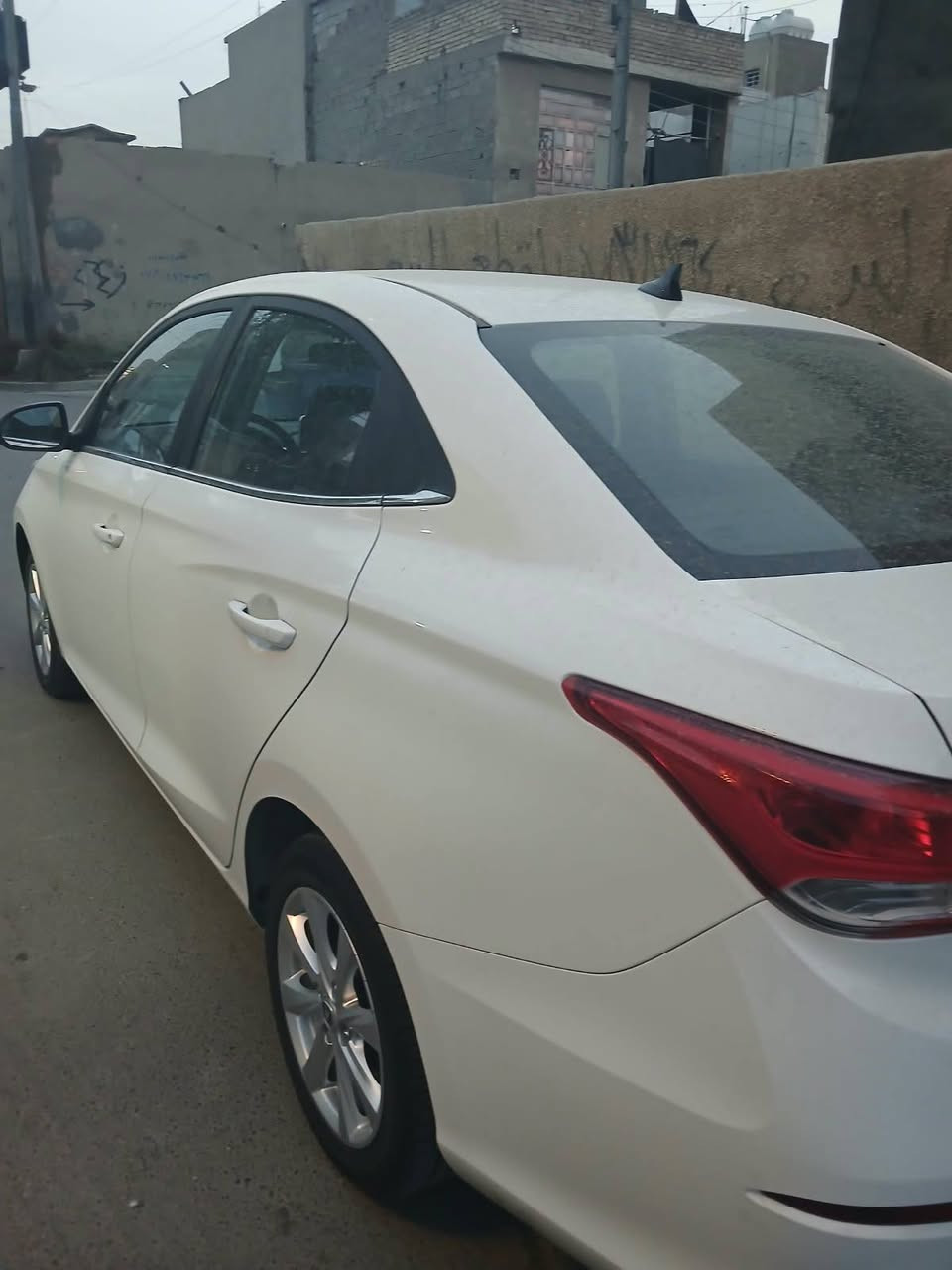 شانجان • ٢٠٢٦ • رقم اربيل