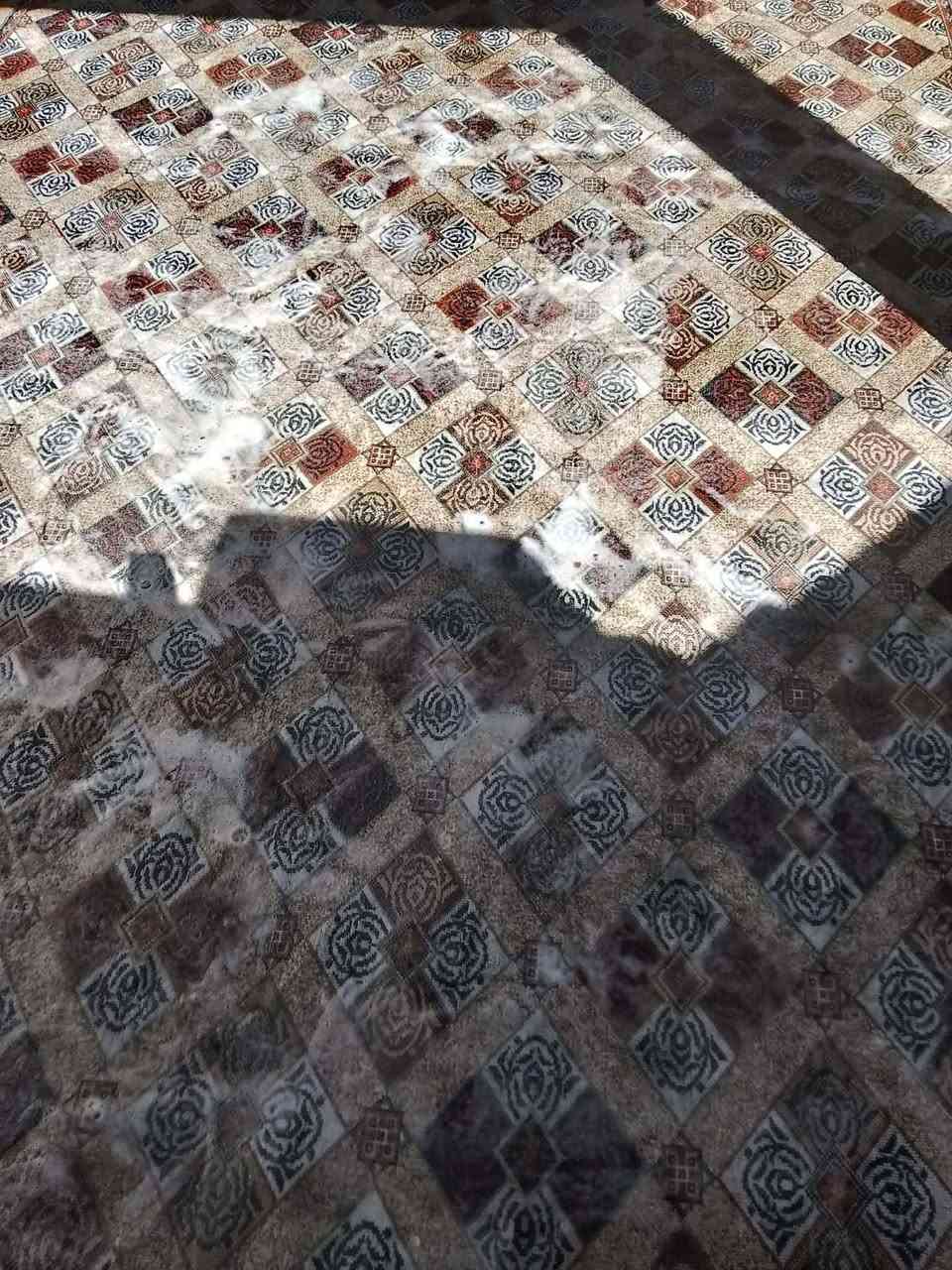 بعقوبة • غسل زوالي • توصيل بيت لبيت