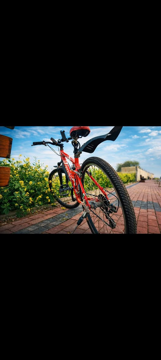 🚴‍♂️🔥 إعادة نشر 🔥 للبيع بايسكل Giant حجم 26 🚴‍♂️

⚠️ إعادة نشر بسبب الوعود الكاذبة، لذلك البيع للجاد فقط 🙏

• 🚲 الماركة: Giant
• 📏 الحجم: 26
• 🛞 التايرات والجوبات مبدلات قبل شهر وجدد ✨
• ⚙️ بي كيرات كدام وكير ورة
• 🛑 بي بريك كدام وبريك ورة
• 💡 يجي وياه ضوء LED + هورن قابل للشحن 🔋
• ✅ البايسكل كامل وما بي أي نقص، وكلشي بي شغال
• 😍 نظيف وحالته كلش حلوة وجاهز للاستخدام

💰 السعر: 135,000 دينار
🤝 بي مجال قليل للتفاوض للجاد فقط

📍 المكان: الموصل – الجانب الأيمن
🚫 ماكو توصيل، الاستلام من الموقع فقط

📩 للجادين راسلني خاص أو واتساب:
📱 ***********
