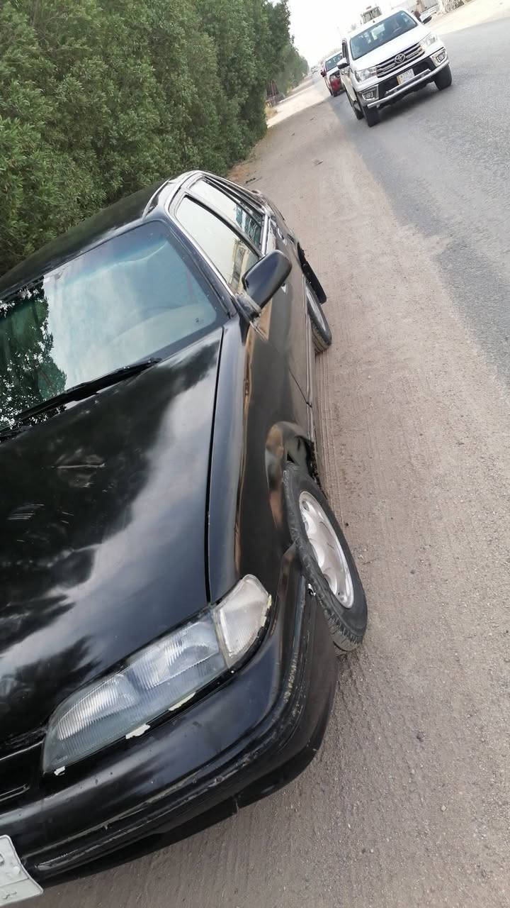 برنس • ١٩٩٤ • بابل جبله