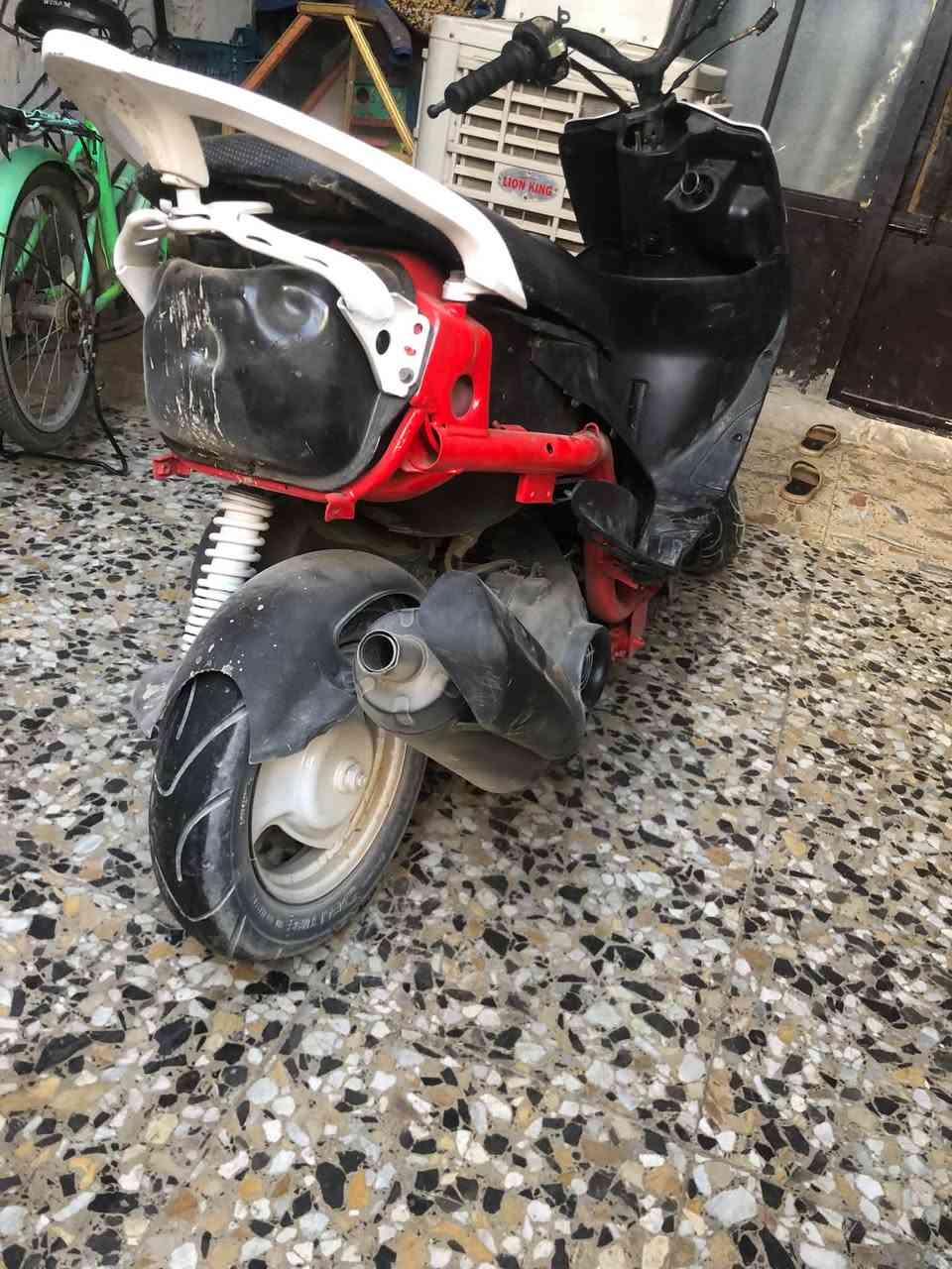 ماكس • ٥٥ • معدل