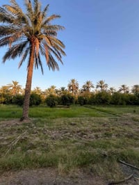 السلام  عليكم ورحمه الله وبركاته اخوان اليوم عندنا عرض بمساحه نصف دونم...